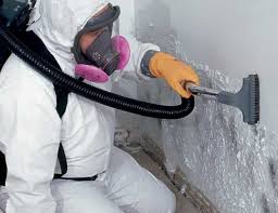 Why You Should Choose Our Mold Remediation Services in Windsor, VA